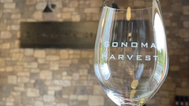 Sonoma Harvest Olive Oil & Winery (1)