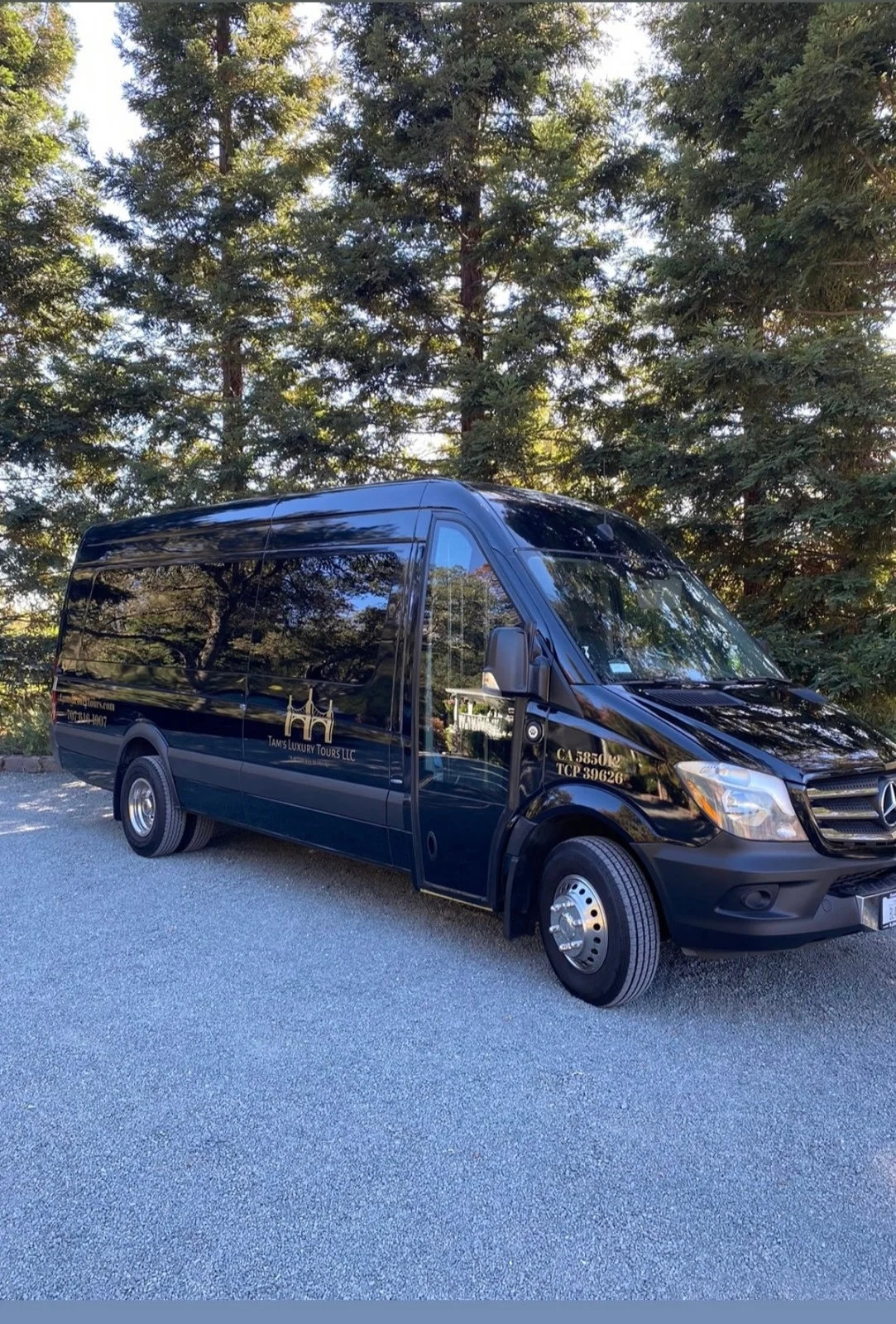 Tam’s Luxury Tours, LLC