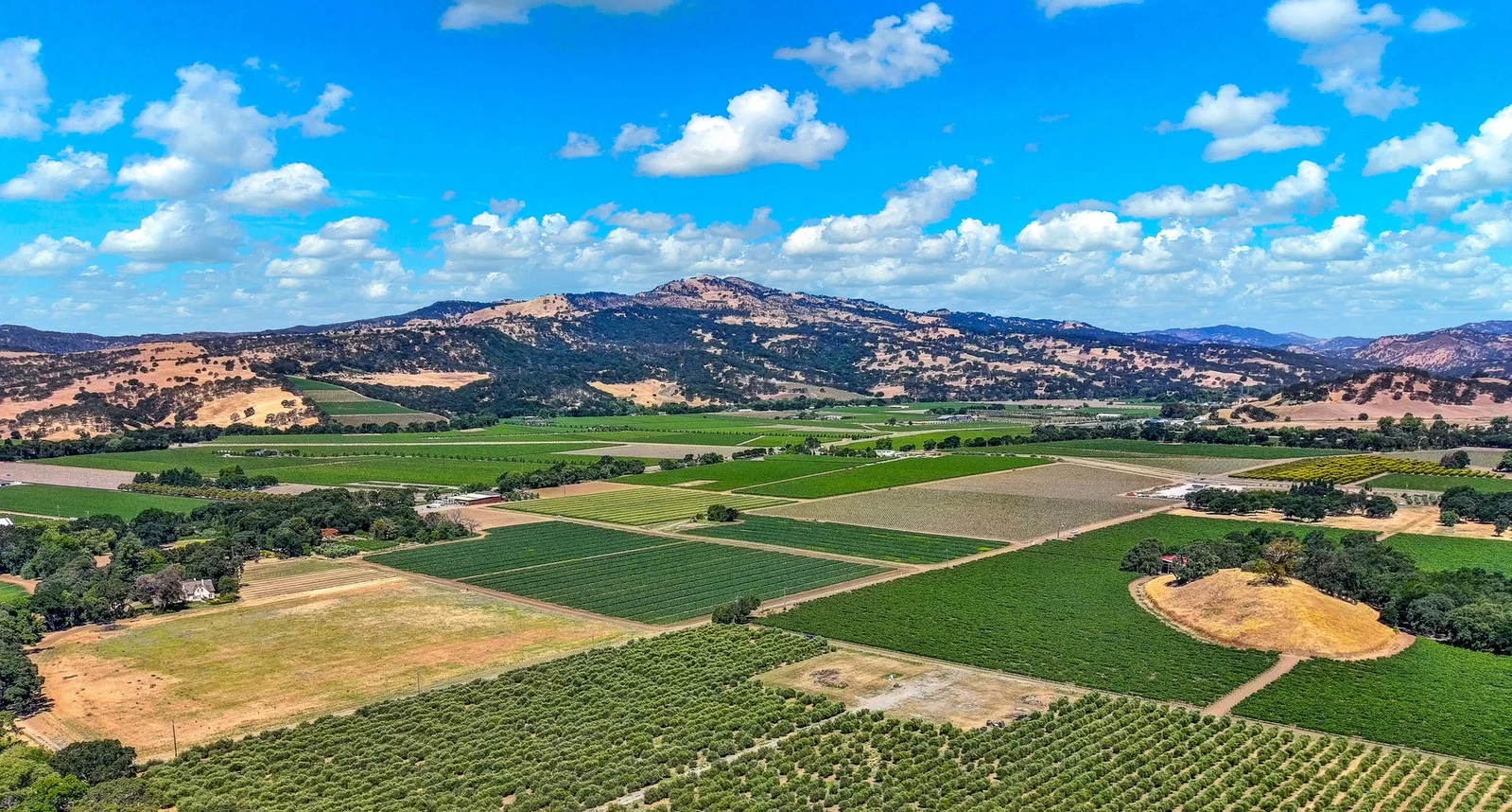 Aerial view of Suisun Valley vineyards featured by Bosco Real Estate.