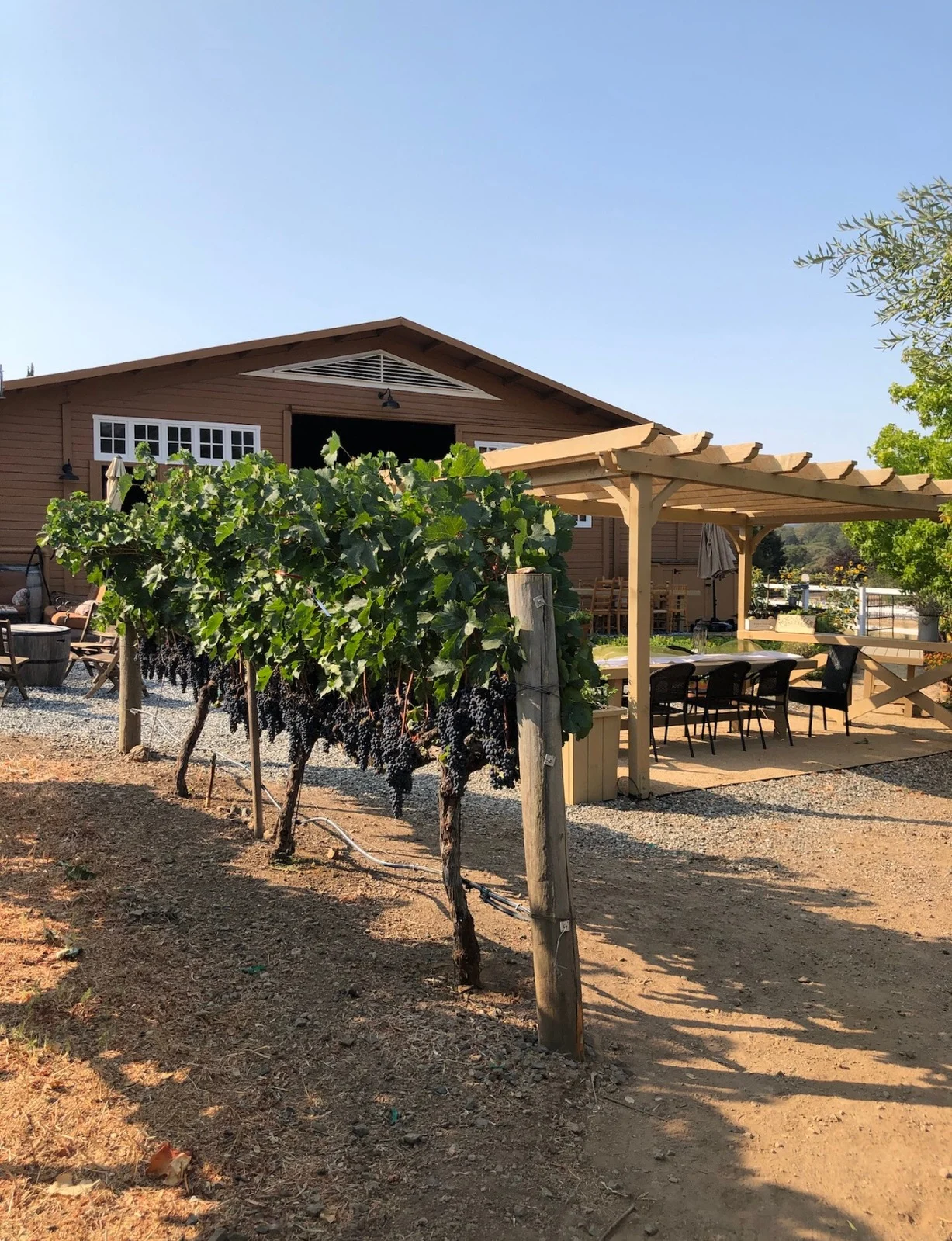 Outdoor view of Rock Creek Vineyard tasting patio and vineyards.