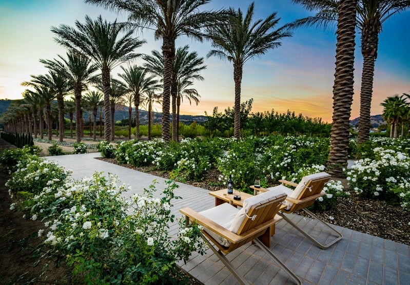 Bottle and glass of Caymus–Suisun wine overlooking vineyard rows.