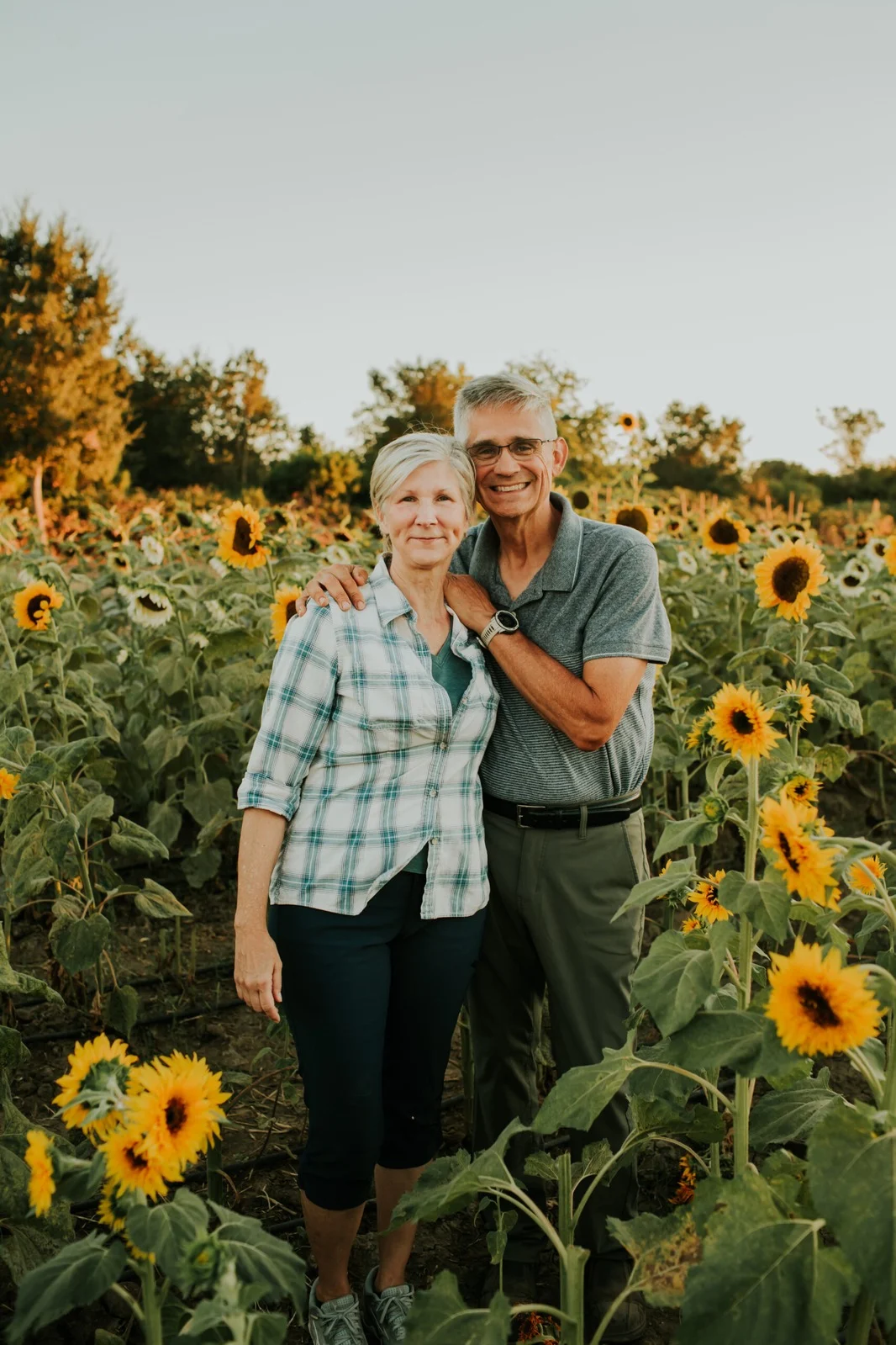 HvH Specialty Growers owners in sunflower field in Fairfield CA.