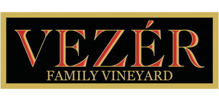 Vezer Logo 1